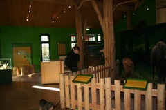 Killikus&reg; Fotographie